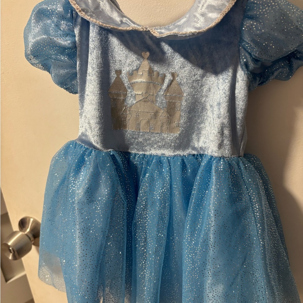 Cinderella Princess Costume